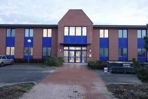 Zdej�� business park je pom�rn� �hledn� a m�sty i zelen�, ale budova, kterou si po��dila ona, m�la v�sadbu toho nejlevn�j��ho r�zu, nav�c rozrostlou do obludn�ch k�ovi��, co� ned�lalo ani par�du ani ��el. No uznejte, co lep��ho n�s mohlo potkat, ne� se poprat s vy�p�l�m ro�t�m � la 80t� l�ta?