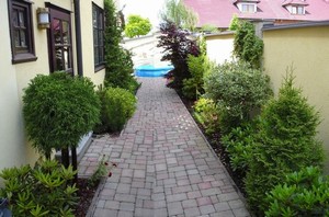 I kdy� je zahrada p�itiskl� ke zdem, nab�z� mnoho zelen�, kter� t�� majitele domu a zahrady. Tato posledn� fotografie je mont� dvou fotek (bohu�el je�t� nem�m panoramatick� fo��k :-), kde je vid�t, jak spolu ob� ��sti funguj� a kolik dok�� nad�lat radosti.