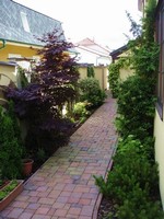 Barvy jsou v zahrad� p��tomny i mimo hlavn� dobu kveten� ostatn�ch rostlin. Tento japonsk� javor je i v polost�nu st�le temn� v�nov� a zele� kolem m� n�kolik odst�n� a v mnoha p��padech i pestr� listy.