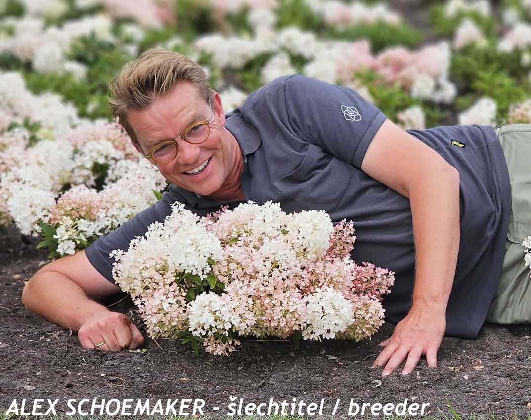 Alex Schoemaker