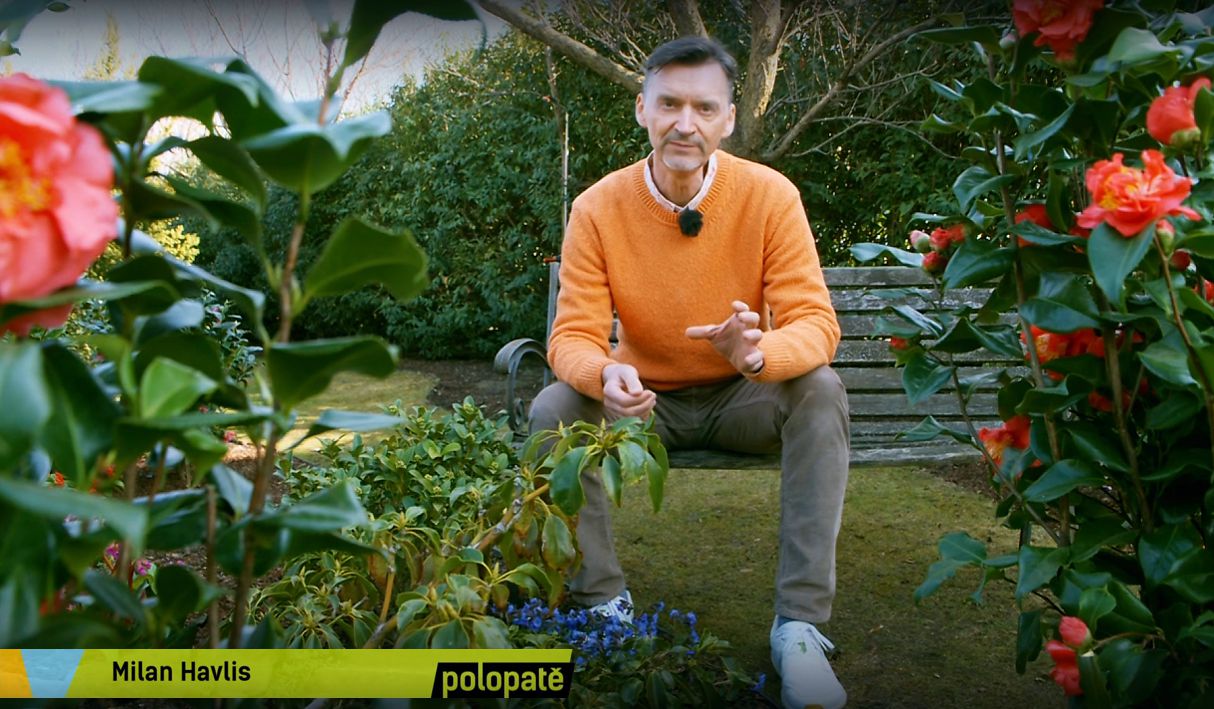 Poj�te s n�mi koukat na telku 📺🌿 Kam�lie.
