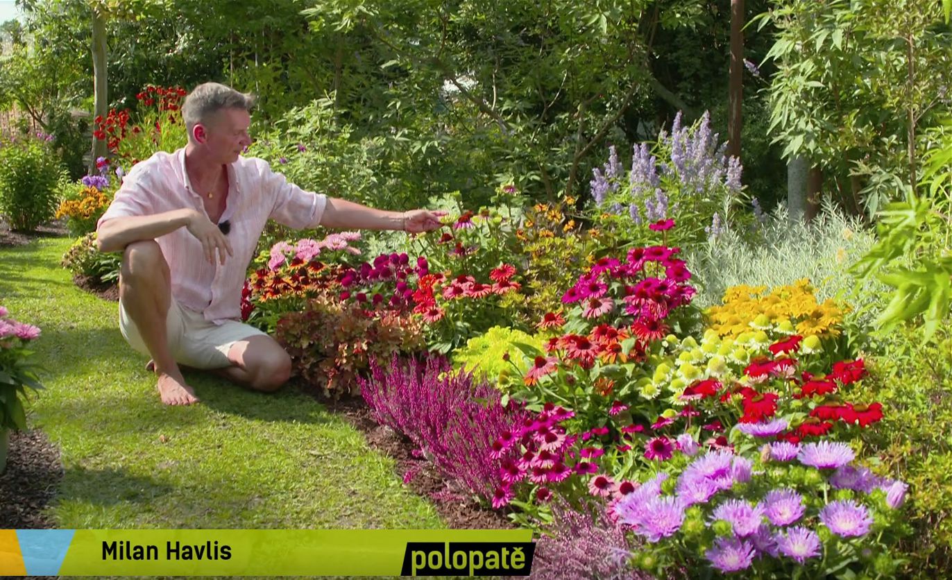 Poj�te s n�mi koukat na telku 📺🌿 T�apatkovky