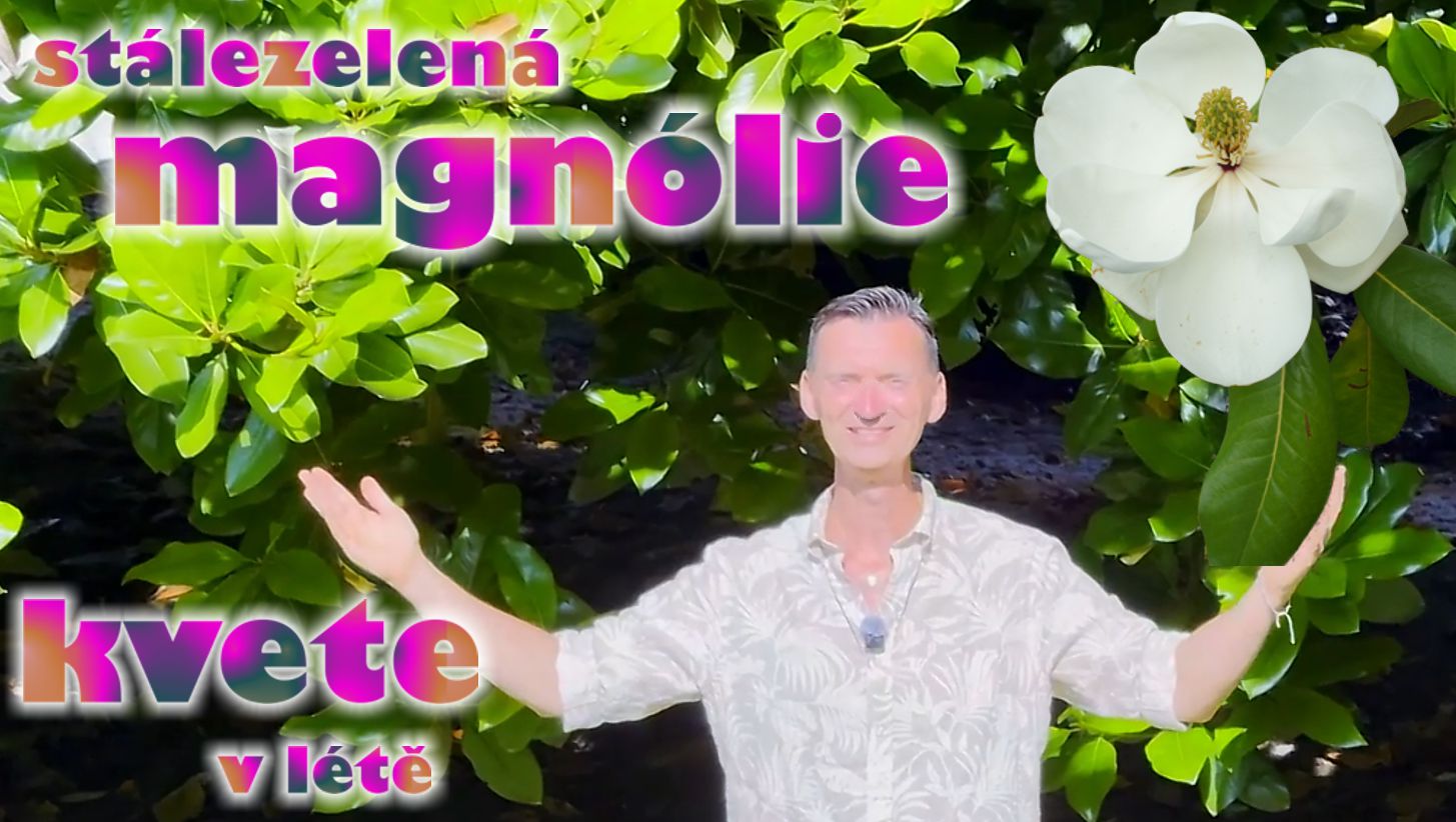 Nov� video - to NEJD�LE�IT�J��! 😊