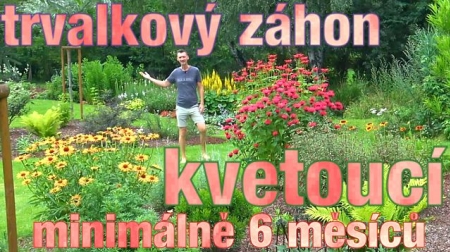 Jak ud�lat trvalkov� z�hon kvetouc� 6 m�s�c� 🌼🏵️