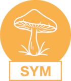 Symbivit (arbuskul�rn�)